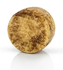 גבינת כבשים עם כמהין לבן